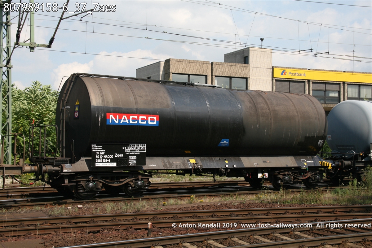 807989158-6_37_Zaes.jpg